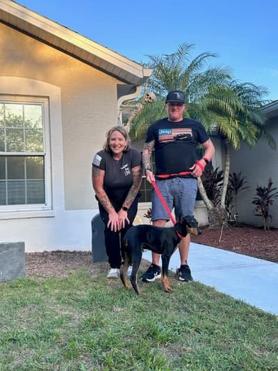 Dalton, a Doberman Pinscher puppy from Pawrade
