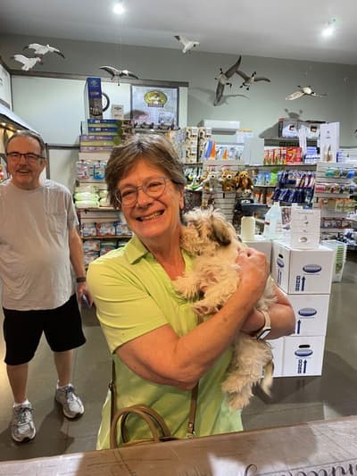 Natalie, a Shih Tzu puppy from Pawrade