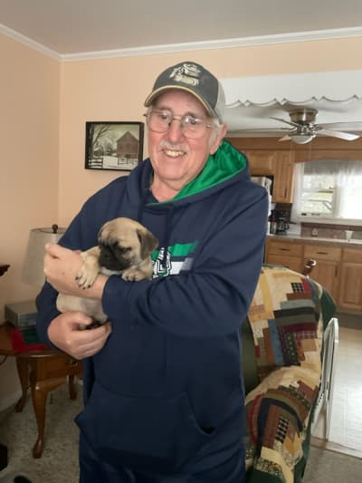 Sonny, a Pug puppy from Pawrade