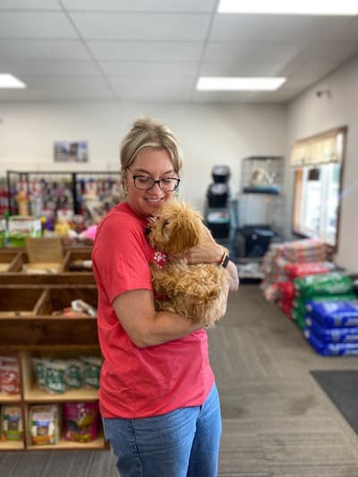 Tessa, a Cockapoo puppy from Pawrade