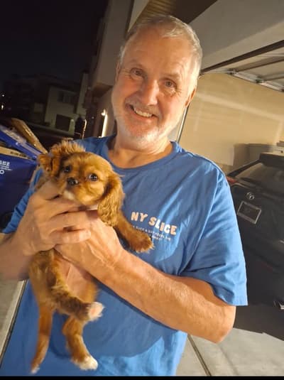 Emma, a Cavalier King Charles Spaniel puppy from Pawrade