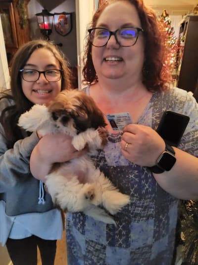 Gigi, a Shih Tzu puppy from Pawrade
