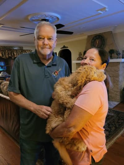 Annabelle, a Goldendoodle puppy from Pawrade