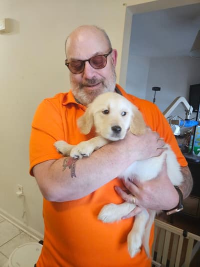 Arlo, a Golden Retriever puppy from Pawrade
