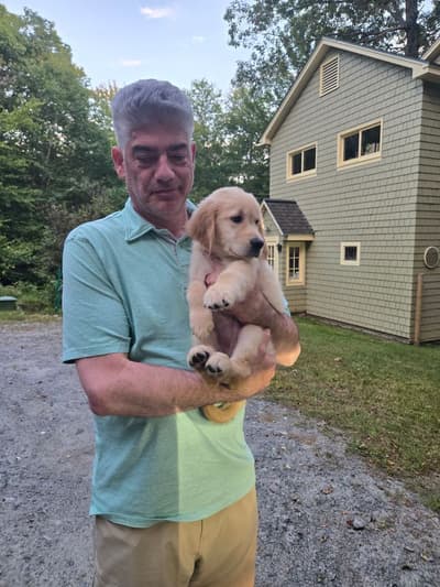 Hillary, a Golden Retriever puppy from Pawrade
