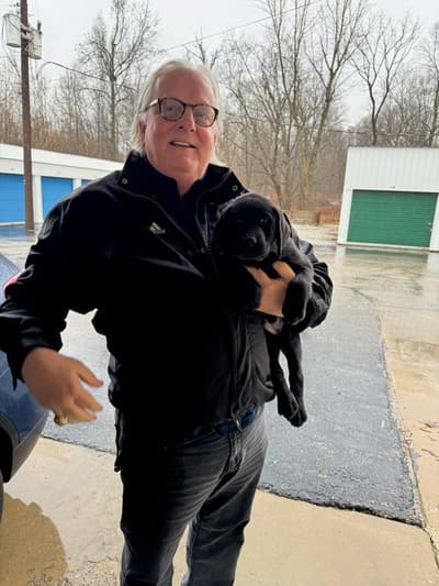 Filly, a Labrador Retriever puppy from Pawrade