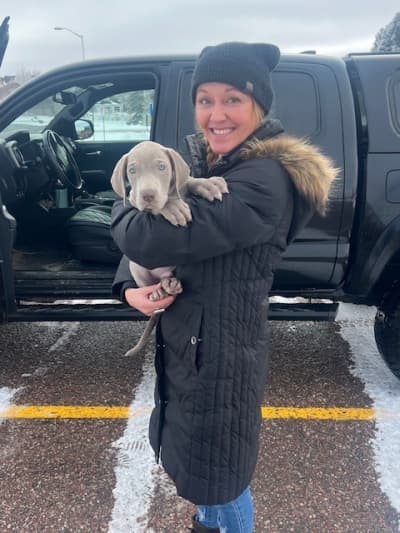 Ali, a Great Dane puppy from Pawrade
