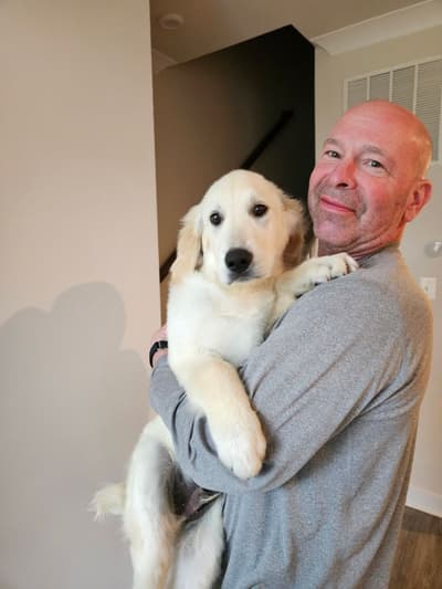 Hermie, a Golden Retriever puppy from Pawrade