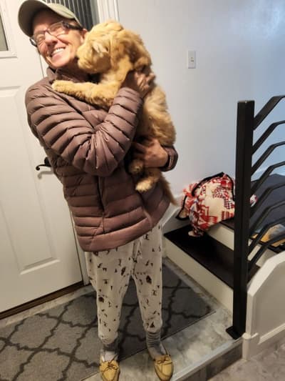 Channing, a Goldendoodle puppy from Pawrade