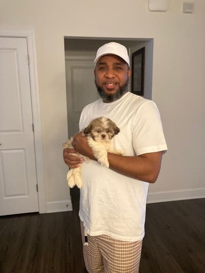 Gracelyn, a Shih Tzu puppy from Pawrade