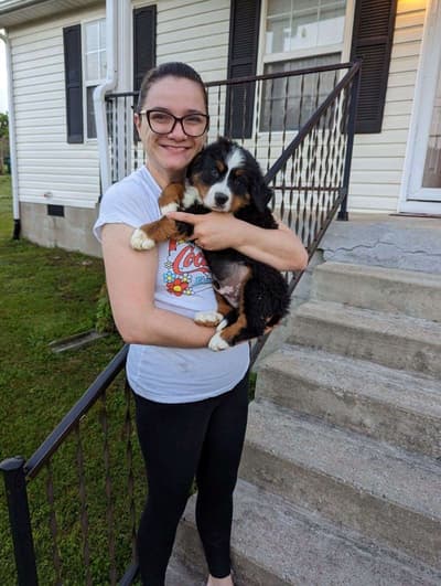 Frederick, a Bernese Mountain Dog puppy from Pawrade