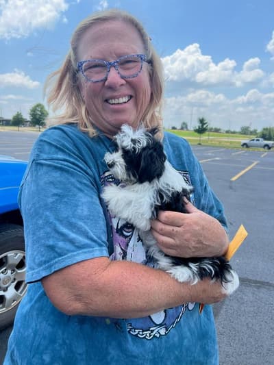 Cheyenne, a Morkie / Yorktese puppy from Pawrade