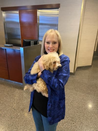 Rose, a Malti Poo - Maltipoo puppy from Pawrade