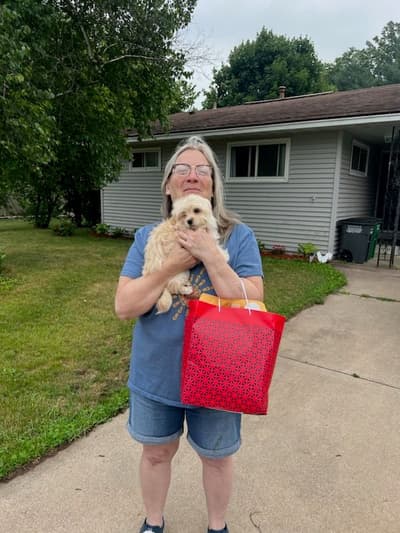 Stella, a Havanese puppy from Pawrade