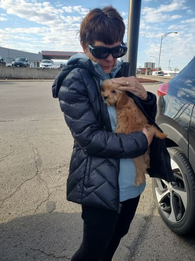 Cassie, a Cavapoo puppy from Pawrade