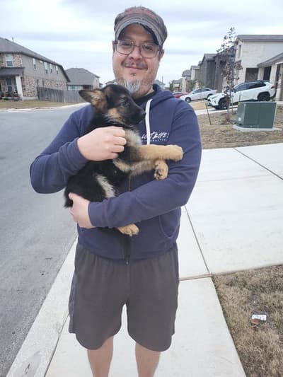 Wynand, a German Shepherd puppy from Pawrade