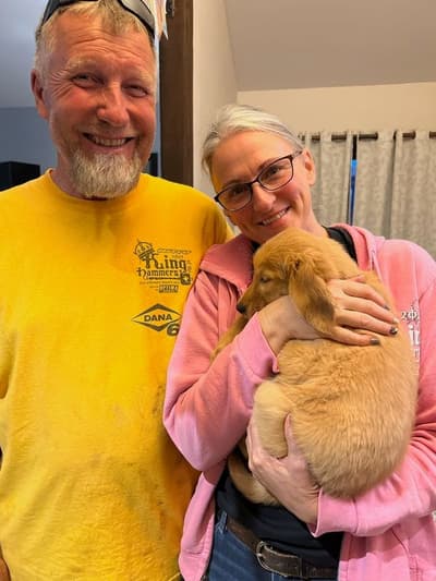 Melody, a Golden Retriever puppy from Pawrade