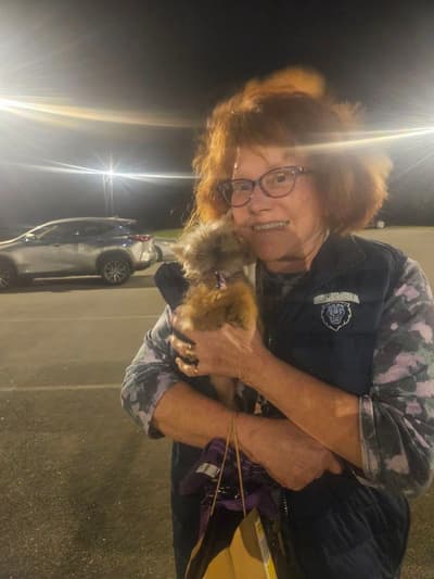 Haira, a Brussels Griffon puppy from Pawrade
