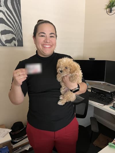 Ace, a Malti Poo - Maltipoo puppy from Pawrade