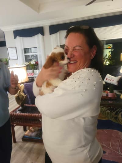 Patrice, a Cavalier King Charles Spaniel puppy from Pawrade