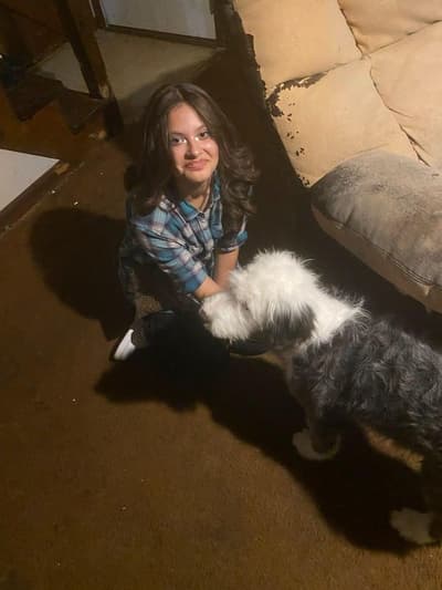 Jacob, a Old English Sheepdog puppy from Pawrade