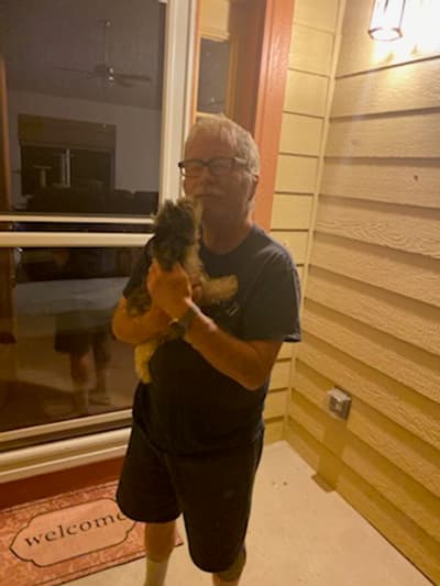 Moses, a Shih-Poo - Shihpoo puppy from Pawrade