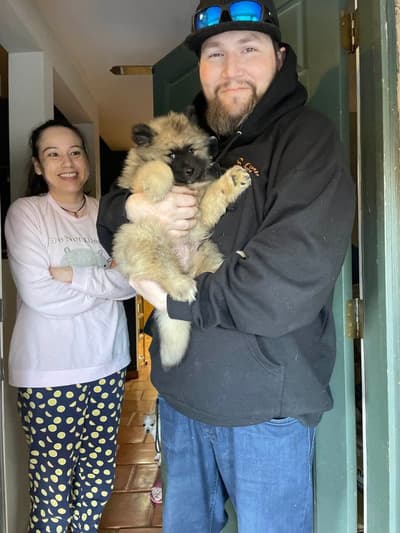 Kason, a Keeshond puppy from Pawrade