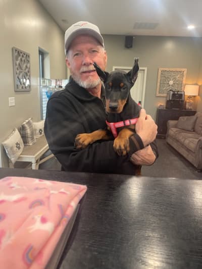 Francesca, a Doberman Pinscher puppy from Pawrade