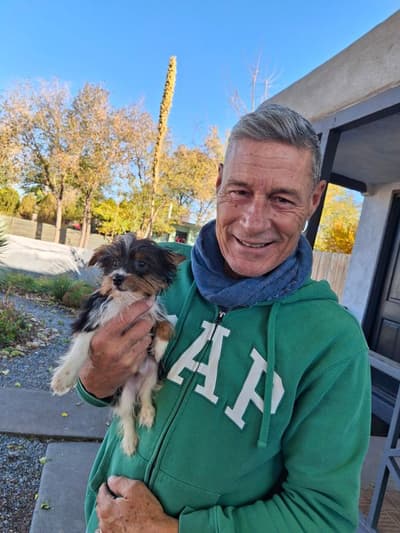 Hayden, a Yorkshire Terrier - Yorkie puppy from Pawrade