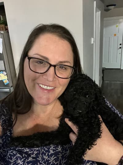Ruth, a Poodle, Standard puppy from Pawrade