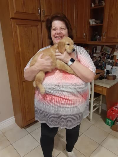 Raegan, a Golden Retriever puppy from Pawrade
