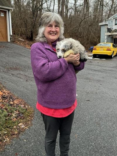 Thea, a Bernedoodle, Mini puppy from Pawrade