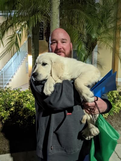 Chief, a English Golden Retriever puppy from Pawrade