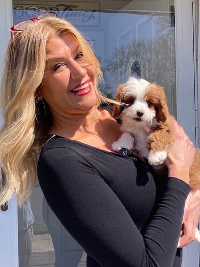 Madeline, a Cavapoo puppy from Pawrade
