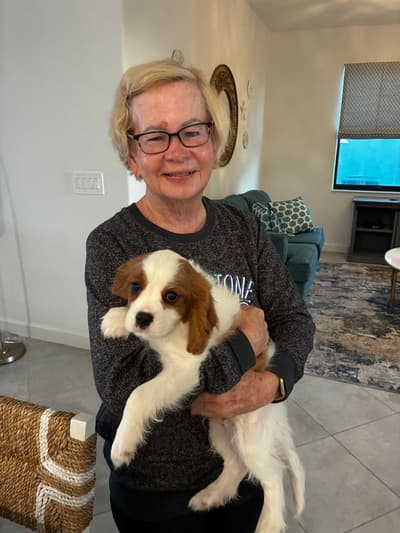 Astro, a Cavalier King Charles Spaniel puppy from Pawrade