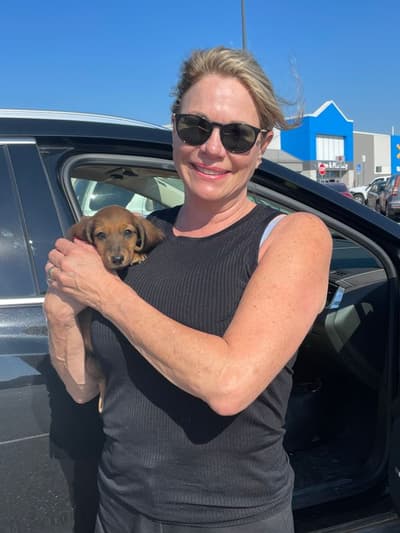 Mazel, a Dachshund puppy from Pawrade