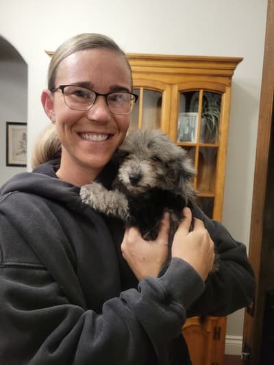 Ingrid, a Goldendoodle, Mini puppy from Pawrade