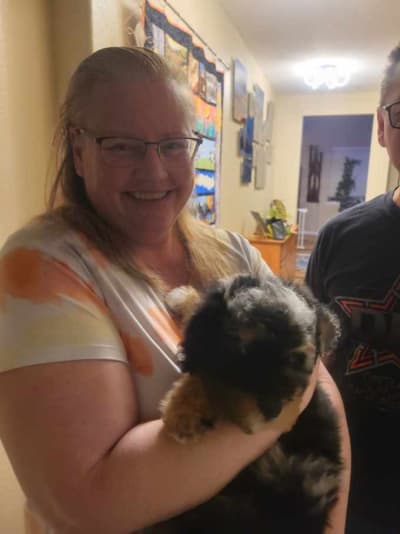 Herman, a Bernedoodle, Mini puppy from Pawrade