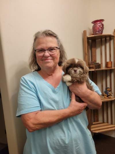Mayweather, a Shih Tzu puppy from Pawrade