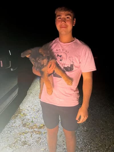 Dierk, a German Shepherd puppy from Pawrade