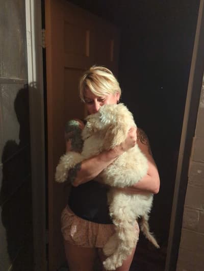 Locket, a Goldendoodle puppy from Pawrade