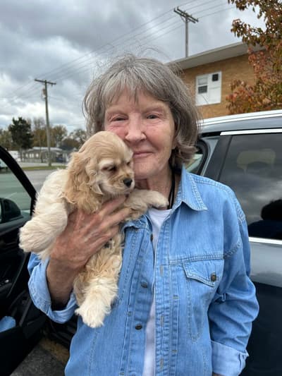 Clementine, a Cocker Spaniel puppy from Pawrade