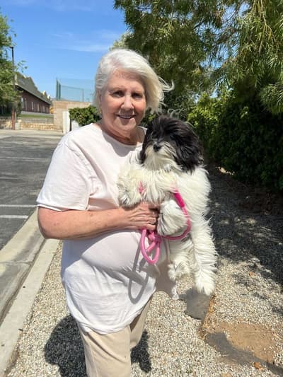 Fern, a Havanese puppy from Pawrade