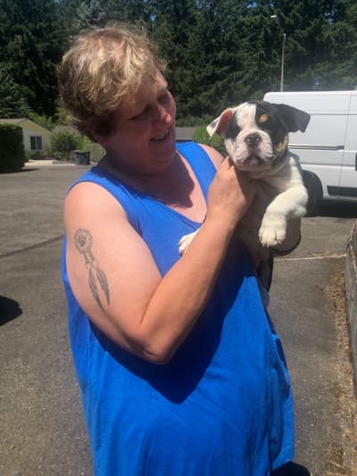 Missy, a English Bulldog puppy from Pawrade