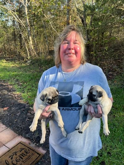 Mack, a Pug puppy from Pawrade