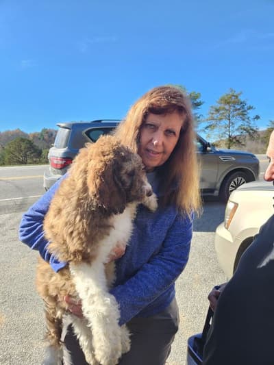 Jupiter, a Labradoodle puppy from Pawrade
