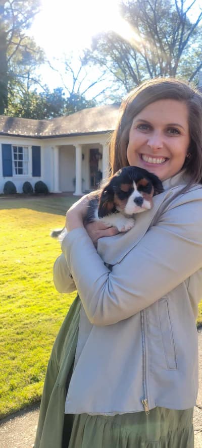 Teresa, a Cavalier King Charles Spaniel puppy from Pawrade