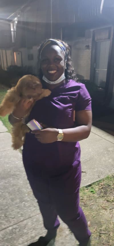 Hershey, a Shih Tzu puppy from Pawrade