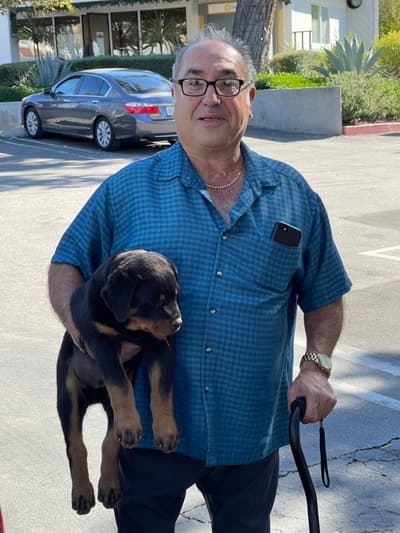 Winky, a Rottweiler puppy from Pawrade