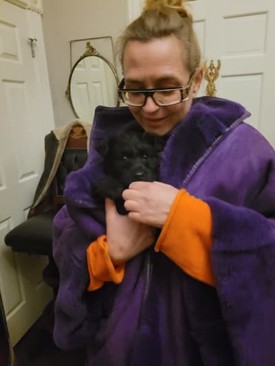 Sherwood, a Scottish Terrier puppy from Pawrade